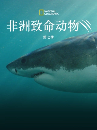 终于轮到我恋爱了