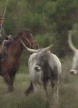 终结者：创世纪(原声版)