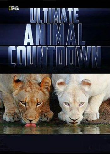 终极动物龙虎榜